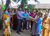 சமுர்த்திசமுதாயஅடிப்படைஅமைப்பினால் பொதுஇடங்களில் மேற்கொள்ளப்பட்ட, துரிதபயிர்ச்செய்கை திட்டத்தின்  அறுவடை நிகழ்வு - 2022